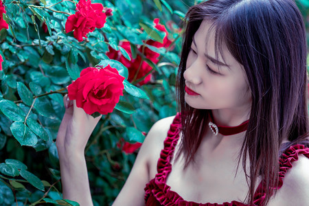 广东一地确诊478例！基孔肯雅热是什么病？